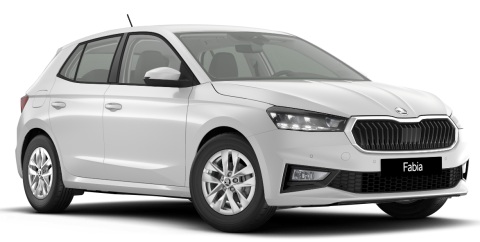 SKODA FABIA - car rental for months