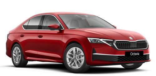 SKODA OCTAVIA - car rental for months