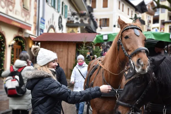Christmas Market in Partynice. Feel the magic of Christmas