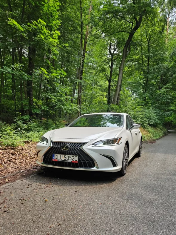 Biały Lexus Es z wypożyczalni samochodów Kaizen Rent na tle zieleni lasu