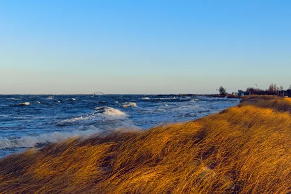 view of the stormy sea in autumn