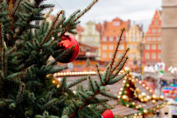 Świąteczna choinka na jarmarku bożonarodzeniowym we Wrocławiu