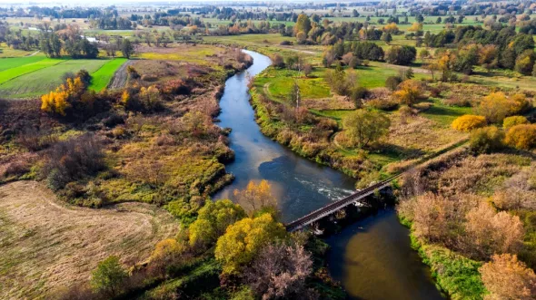 Curved bends of the Nida River in Świętokrzyskie Poland. Aerial view from a drone.