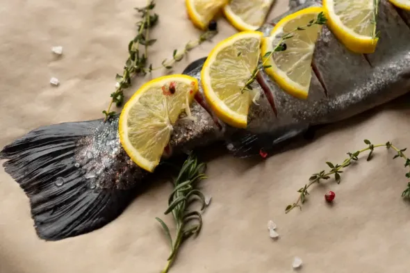 Mazury and Warmia – freshwater fish
