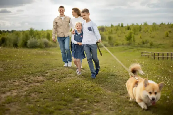 Family walking their dog during a road trip through Poland