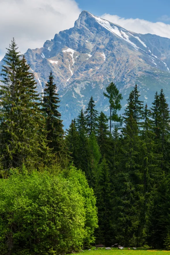 High Tatras spring view with snow