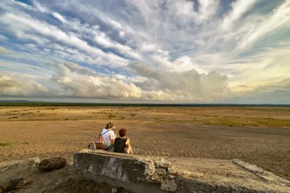 Pustynia Błędowska – największa pustynia w Polsce
