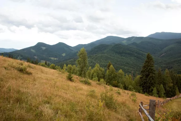 View of the Bieszczady mountain range
