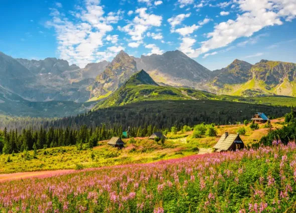 Panoramic view of Hala Gąsienicowa in Tatra National Park near Kasprowy Wierch, ideal for a day trip from Kraków