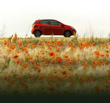 Majówka pachnie podróżą – wynajęte auto mknie wśród kolorowych pól kwiatów