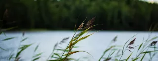 The beautiful landscape of Lake Mazurskie