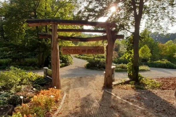 Arboretum w Wojsławicach – brama wejściowa zaprasza do nowej części ogrodu