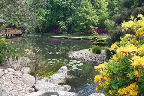 Egzotyczny zakątek w Polsce – ogród japoński rozkwita kolorami i detalami, które przenoszą myślami tysiące kilometrów dalej