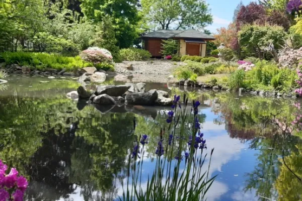Ogród japoński w pełni sezonu – soczysta zieleń, spokojna tafla wody i klimat jak z dalekiego Wschodu, choć to wciąż Polska