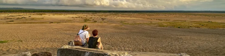 Pustynia Błędowska w Polsce - największa pustynia w Europie