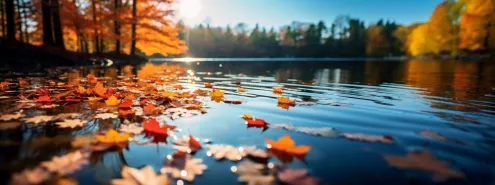 beautiful autumn in Poland with Kaizen Rent
