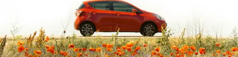 The May holiday is in the air – a rental car gliding through colourful flower fields